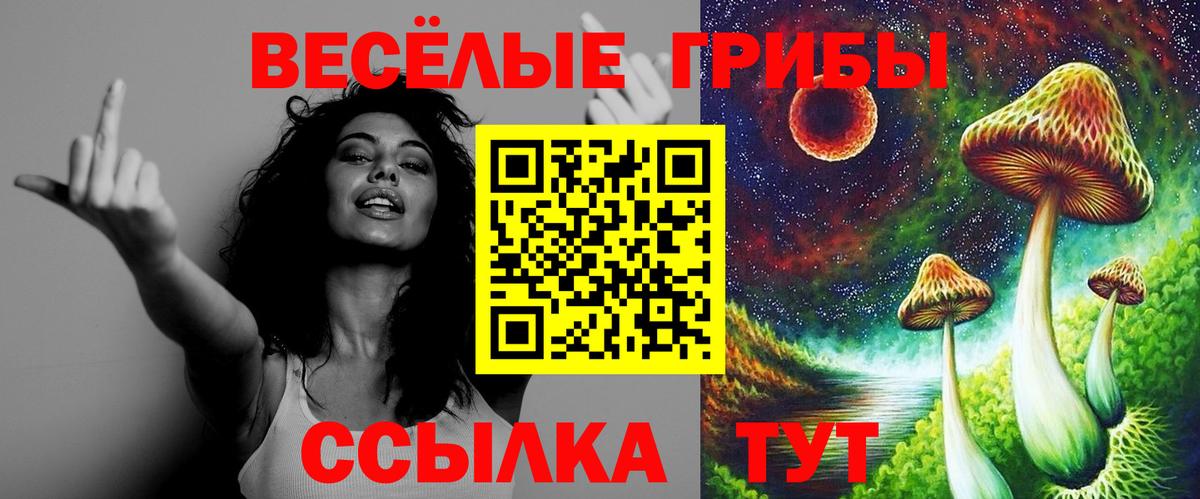 Псилоцибиновые грибы ЛСД Биробиджан